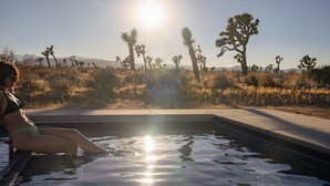 Une personne assise au bord d’une piscine, avec un paysage désertique et des arbres de Josué en arrière-plan.