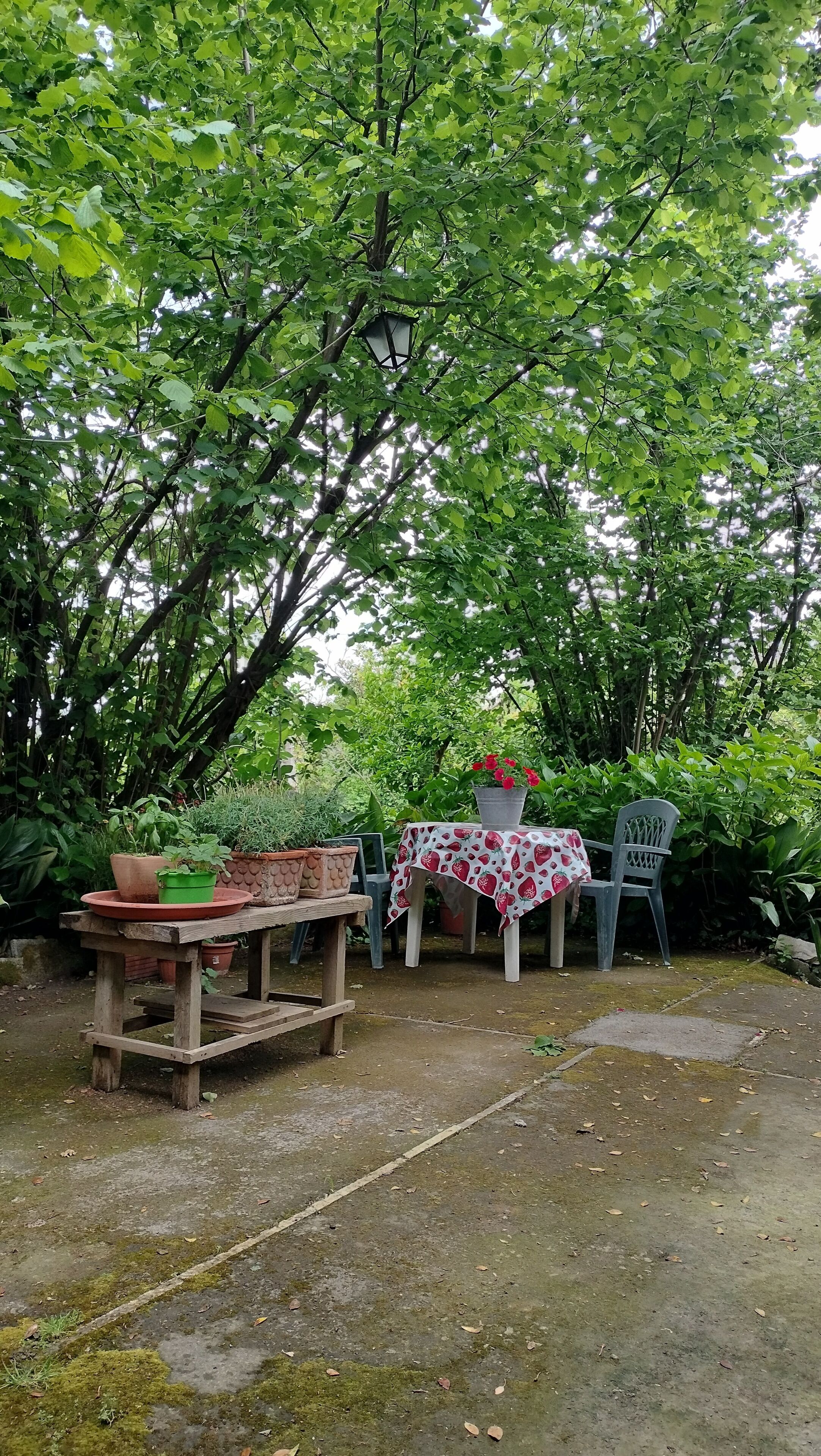 Udendørs spisemuligheder