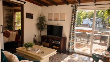 Smart-TV, Kamin