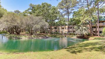 Departamento (2 Bedrooms) | Interior