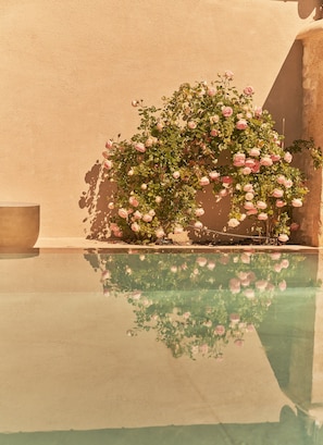 Seasonal outdoor pool - Domaine de Panéry (Pouzilhac)