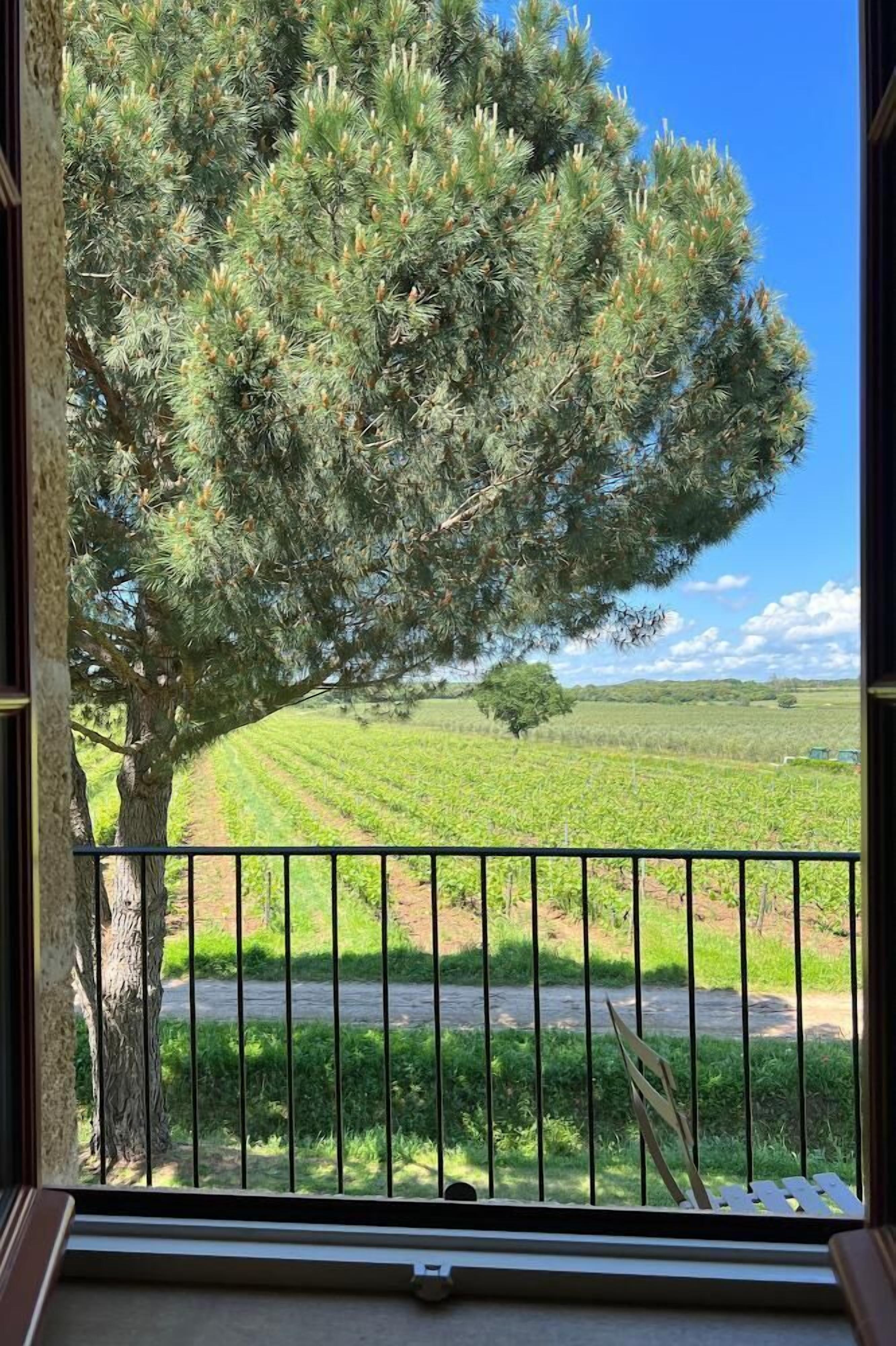 Panorama appartement | Uitzicht vanuit de kamer