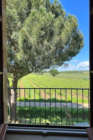 Logement des Vignes | View from room - Domaine de Panéry (Pouzilhac)