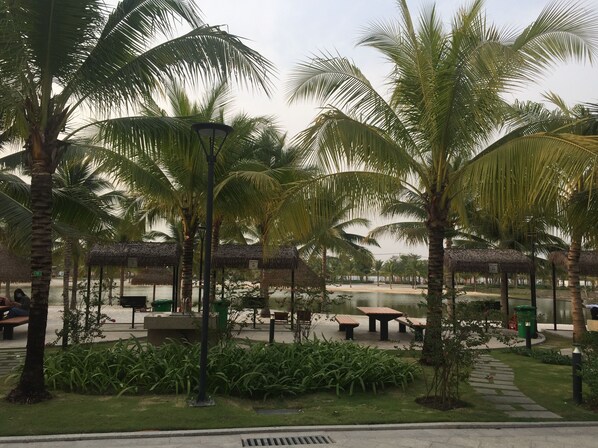 A tropical outdoor area with palm trees, thatched-roof structures, and seating areas.
