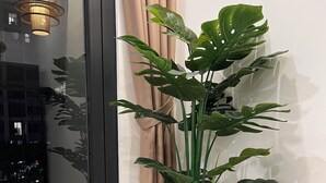 En krukväxt av sorten monstera i en vit kruka, placerad på ett klinkergolv intill en glasdörr med beige gardiner.