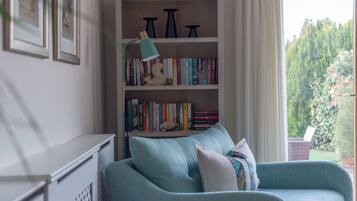 TV, fireplace, books