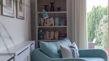 TV, fireplace, books
