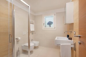 Shower, hair dryer, towels