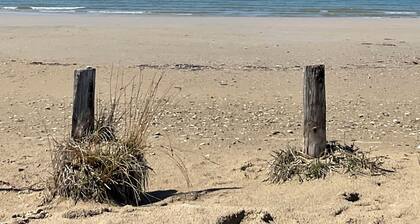 A piece of paradise located 3 minutes drive from Sauble Beach strip