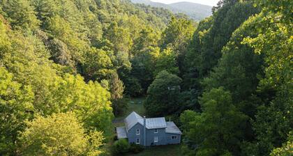 DLT Cabins, LLC - Holler Hideaway Cozy house sleeps 4 on 10 Minutes from SNP