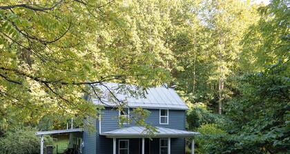 DLT Cabins, LLC - Holler Hideaway Cozy house sleeps 4 on 10 Minutes from SNP