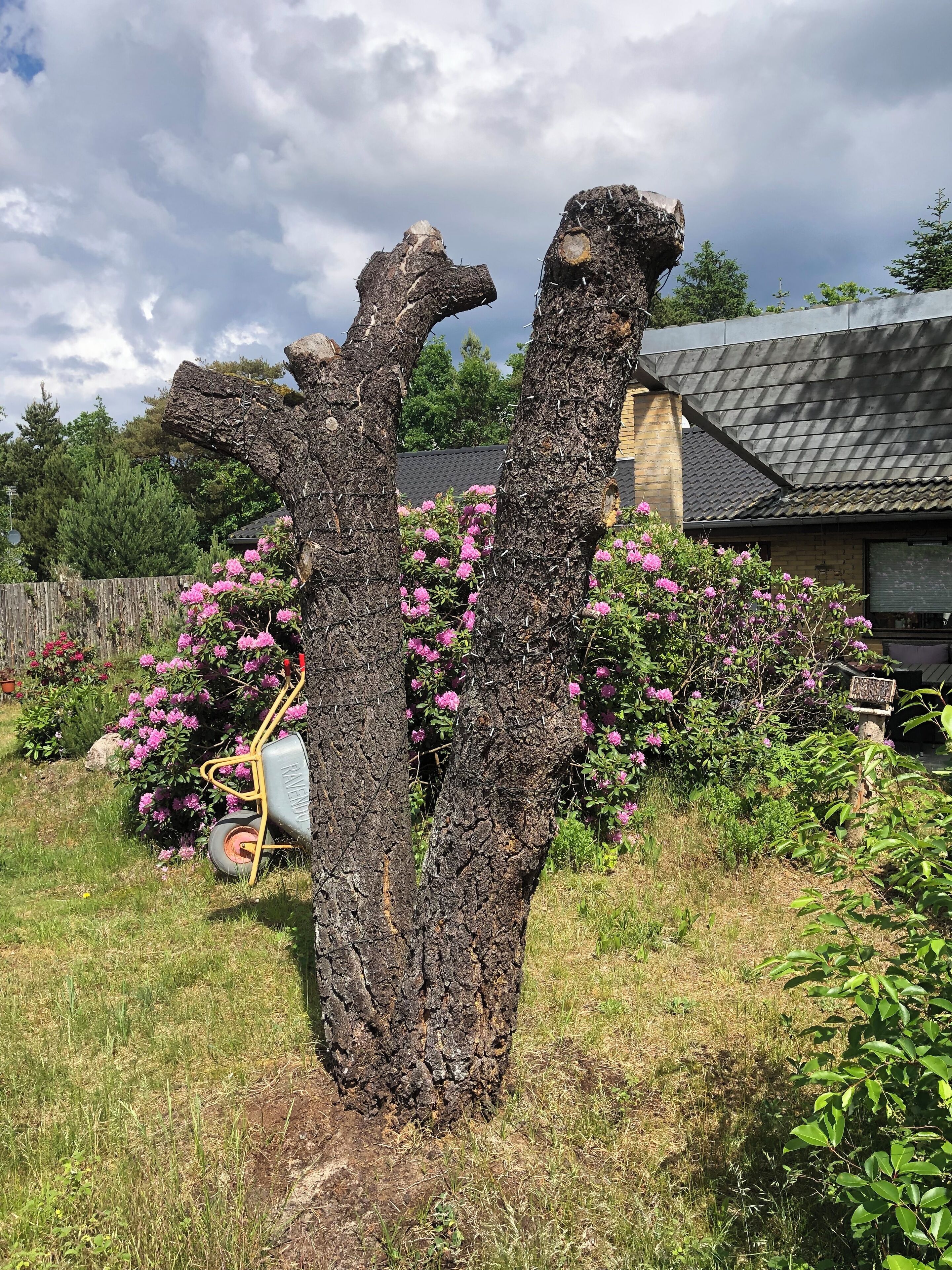 Área da propriedade