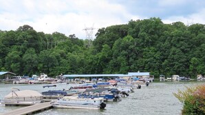 Un puerto deportivo con varias embarcaciones amarradas, rodeado de un bosque denso y líneas eléctricas al fondo.