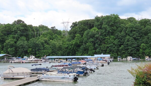 Un port de plaisance où sont amarrés différents types de bateaux, entouré d’une forêt dense et avec des lignes électriques visibles au loin.
