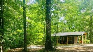 A cabin in a forest with a dirt ground and surrounding trees.