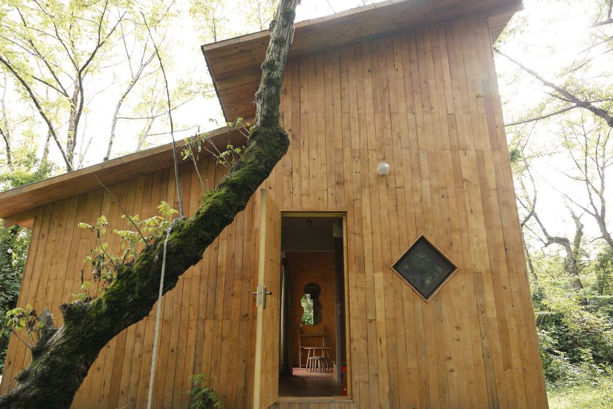 Une cabane en bois avec une porte, une petite fenêtre et un arbre devant.