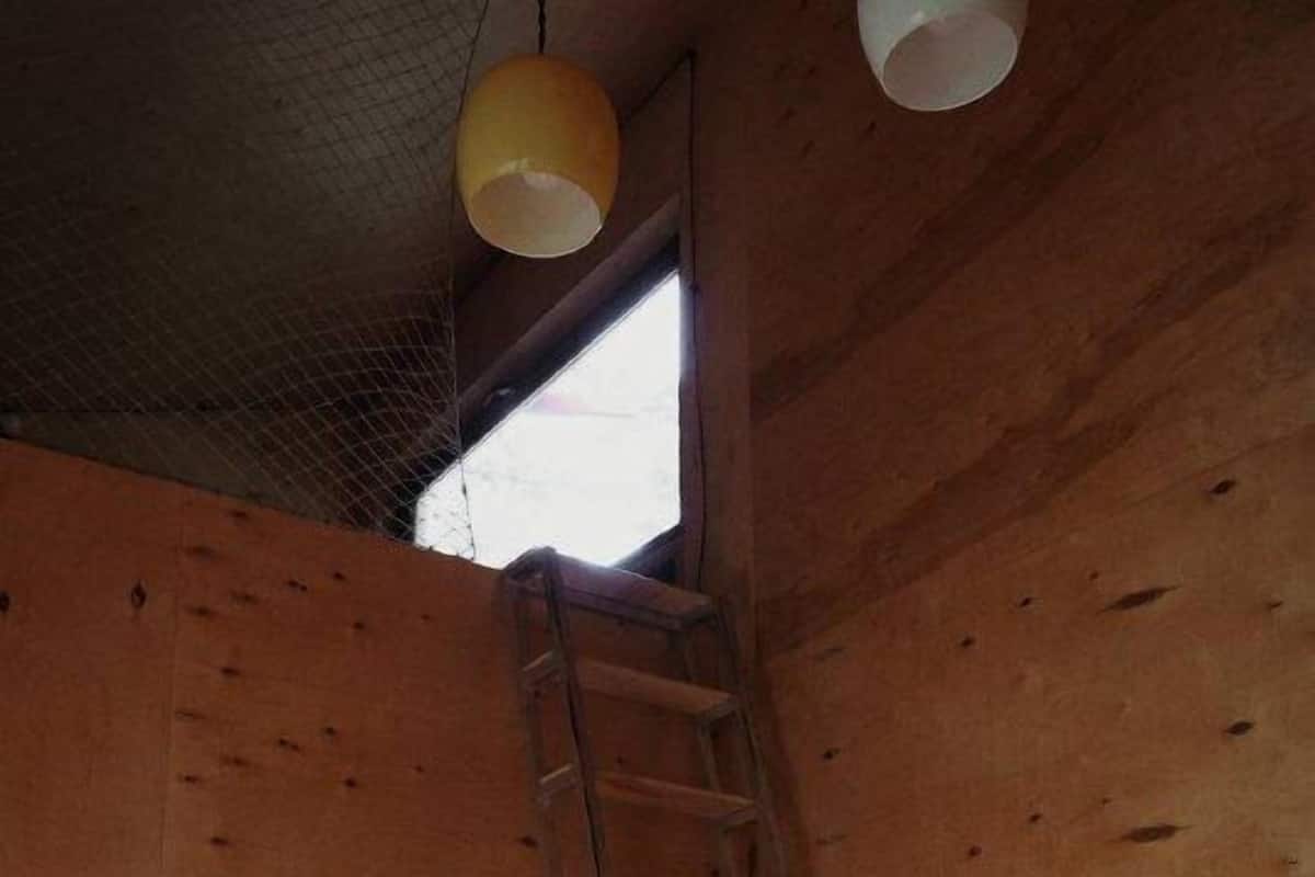 Un intérieur en bois avec une échelle, un bureau, une chaise et un canapé.