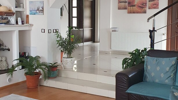Ein großzügiger Wohnbereich mit modernem Design, ausgestattet mit einer Couch, einem Couchtisch und Topfpflanzen.