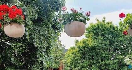 Johanna House -Dream apartament , looking for the sky,bright and cosy
