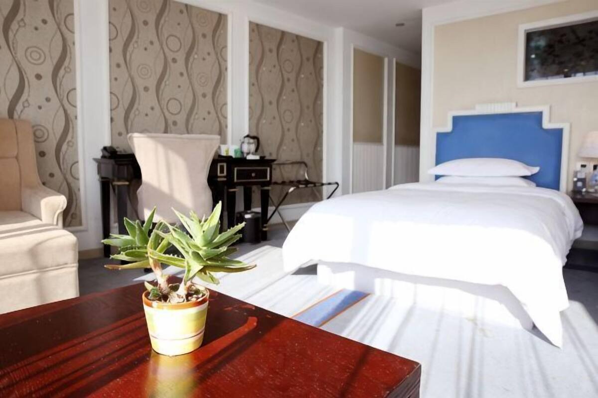 A hotel room with a bed, a chair, a desk, and a potted plant.