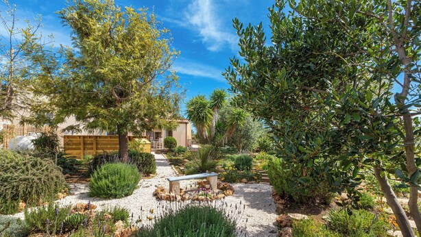 Property grounds - 3885 Villa La Mimosa by Barbarhouse (Avetrana)