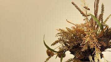 A vase with dried plants on a wooden table.