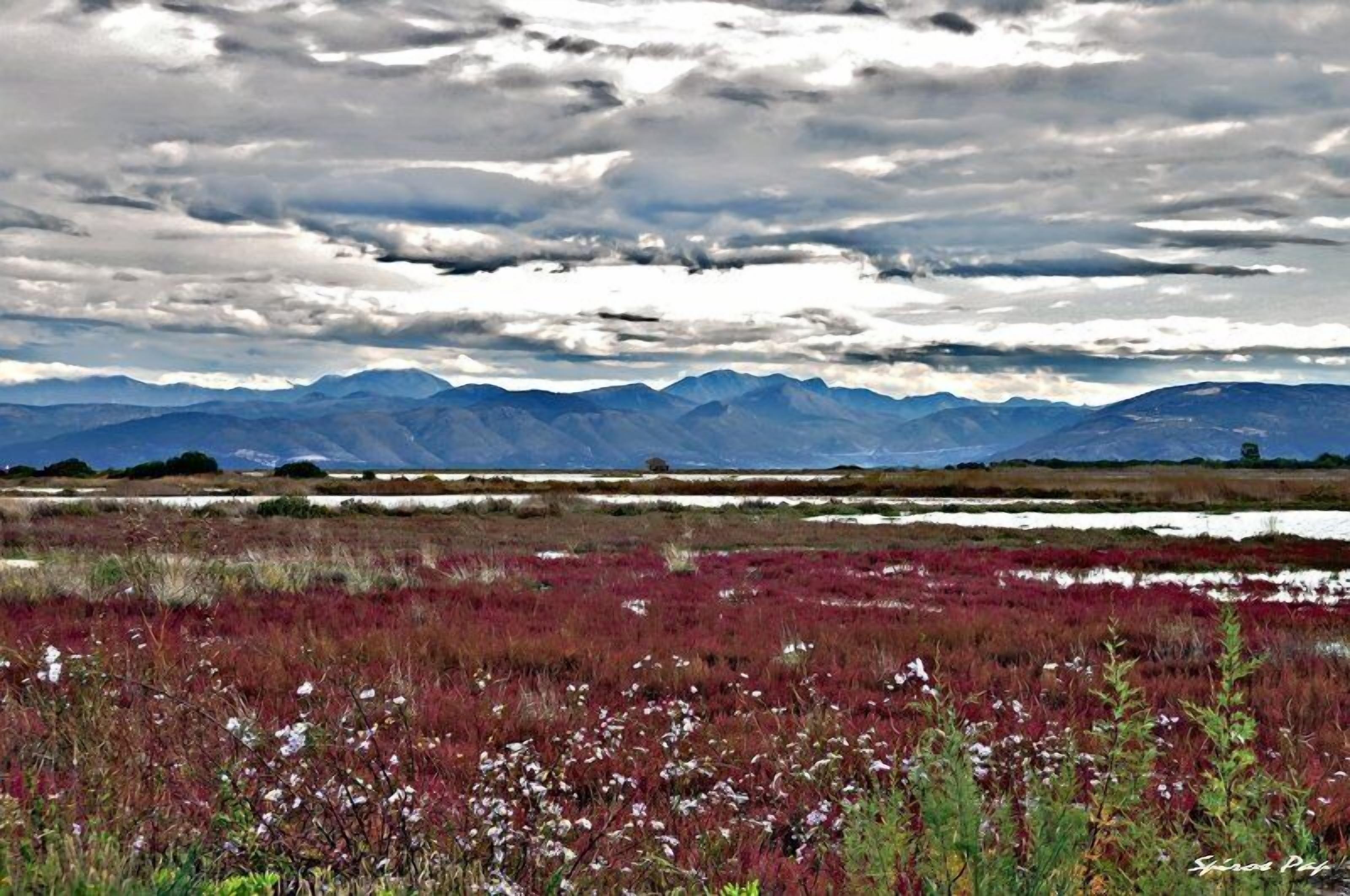 A landscape with mountains in the background and a field in the foreground.