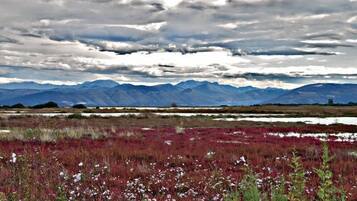 A landscape with mountains in the background and a field in the foreground.