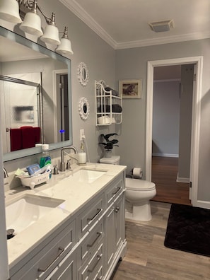 Hair dryer, towels, soap, shampoo - BEAUTIFUL VACATION HOME 2-bedroom and 1 bathroom (Forest City)