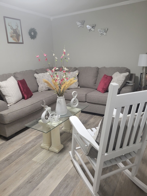 Smart TV - BEAUTIFUL VACATION HOME 2-bedroom and 1 bathroom (Forest City)