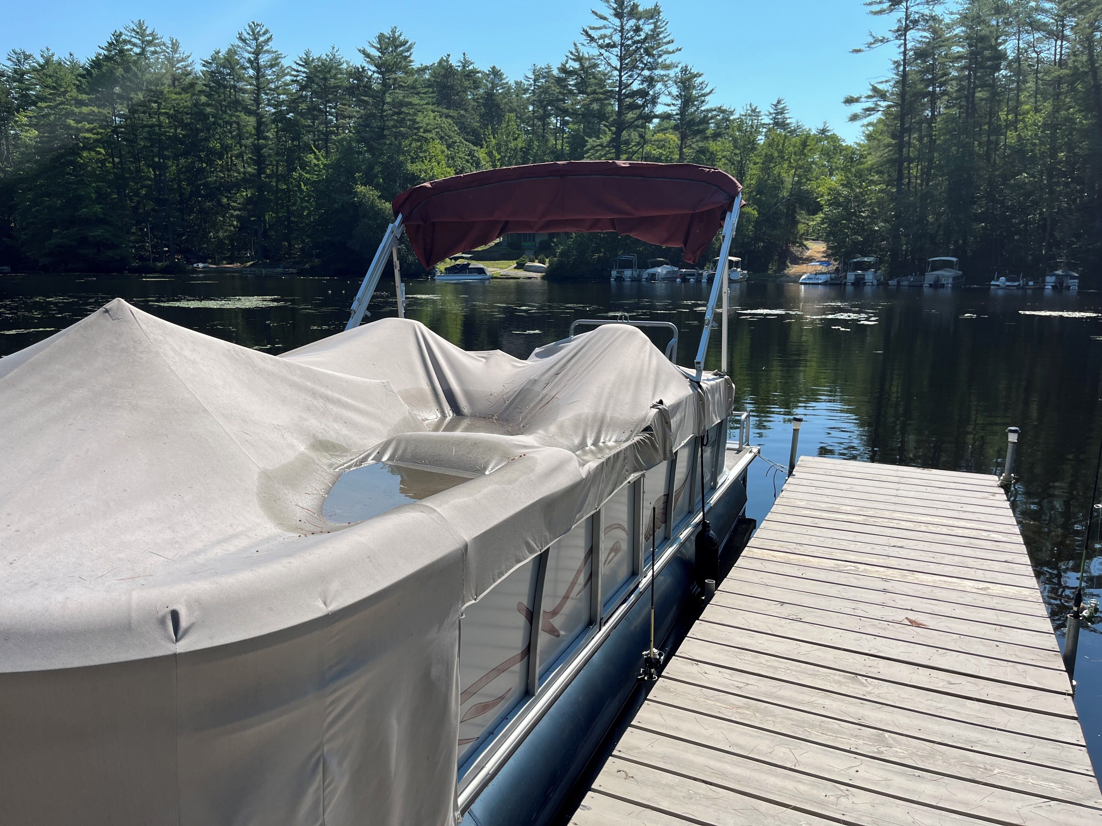 A covered boat docked at a wooden pier with a forested background.