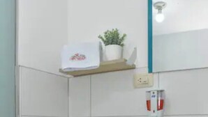 A small bathroom with a toilet, sink, and a shelf with a plant.