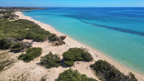 A beach with clear turquoise waters, sandy shores, and green vegetation.