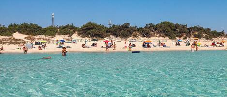 Playa en los alrededores