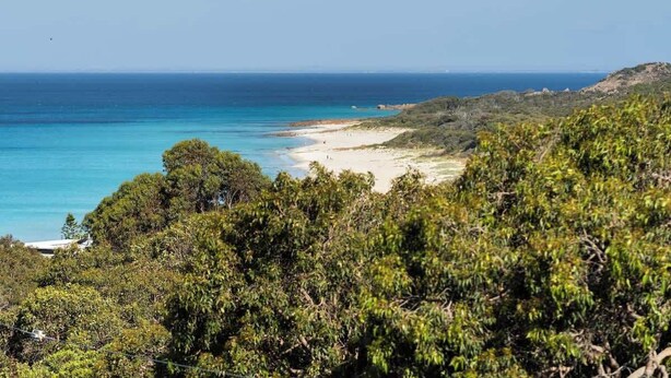A coastal landscape with a beach, dense greenery, and a clear view of the ocean. - Mariners Rest—Bushland Haven w/ Stunning Sea Views (Eagle Bay)