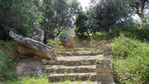 Una escalera de piedra que asciende por una colina, rodeada de follaje y árboles.