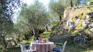 Un espace de restauration en plein air, avec une table et des chaises, entouré d’oliviers et bordé d’une colline rocheuse.