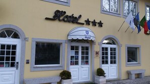 A hotel with a sign reading "Hotel" and "Hotel ULFIRA" above the entrance. There are two potted plants in front of the doors, and flags are displayed on the right side of the building. - Hotel Ulveira (Oliveira de Frades)