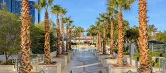 Classic Suite Signature Resort Pool View