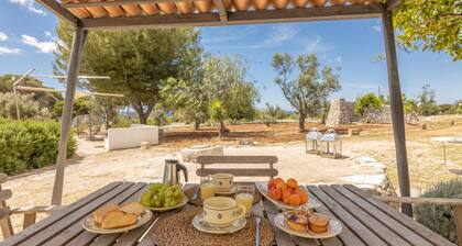 Pajara Mandarino - Salve