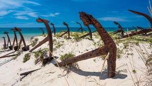 A beach with rusted anchors and driftwood.