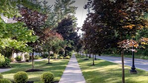 Une rue résidentielle bordée d’arbres, avec un trottoir et des maisons de chaque côté.