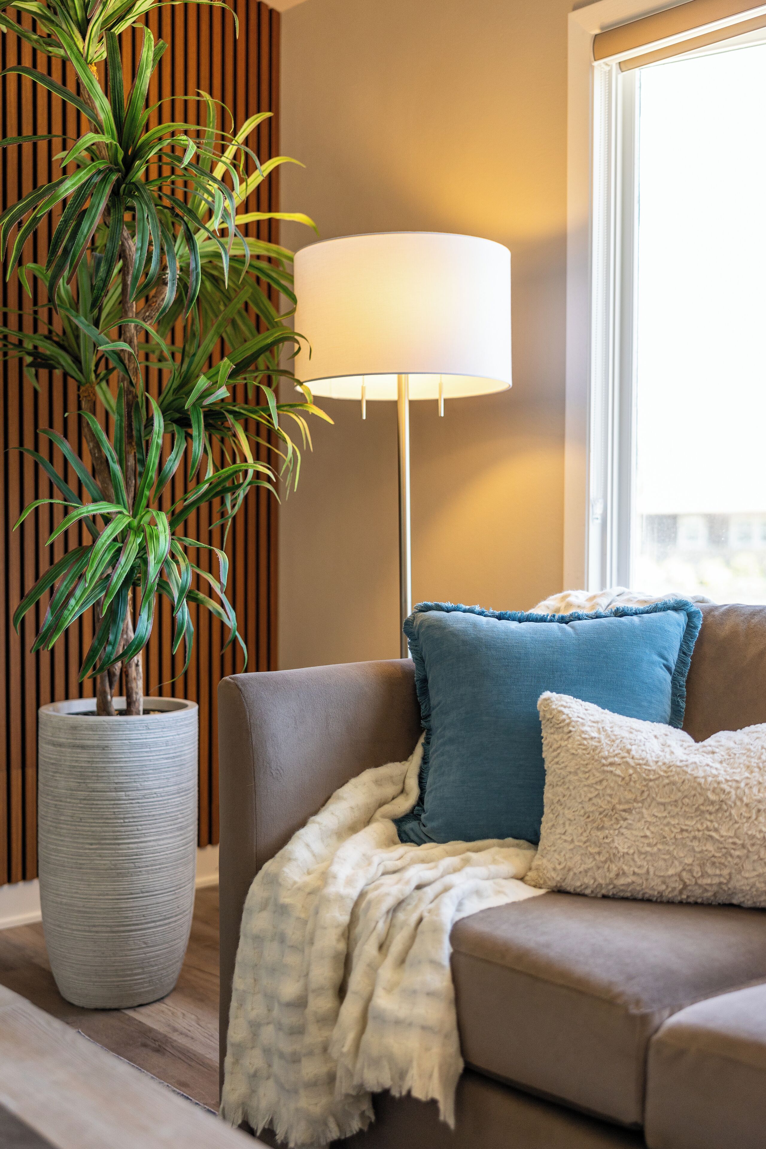 智能电视、壁炉、电子游戏