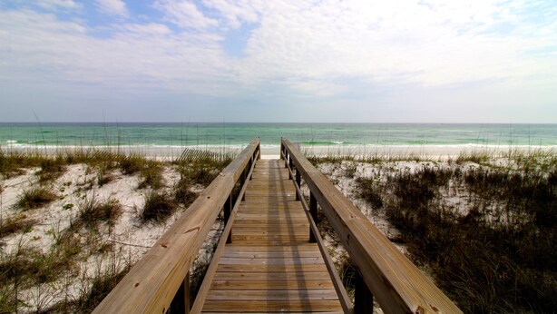 Strand