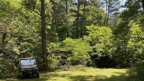 Een voertuig geparkeerd in een bebost gebied met dichte bomen en gras.