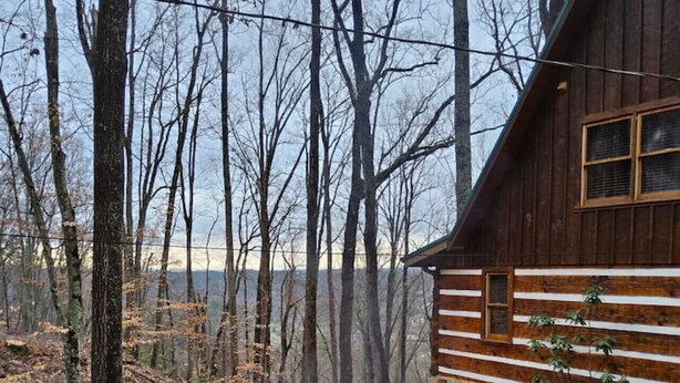 Eine Hütte mit Feuerstelle, umgeben von Adirondack-Stühlen, eingebettet in einen bewaldeten Bereich.