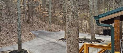 A forested area with a paved path, a wooden deck, and a stone border.