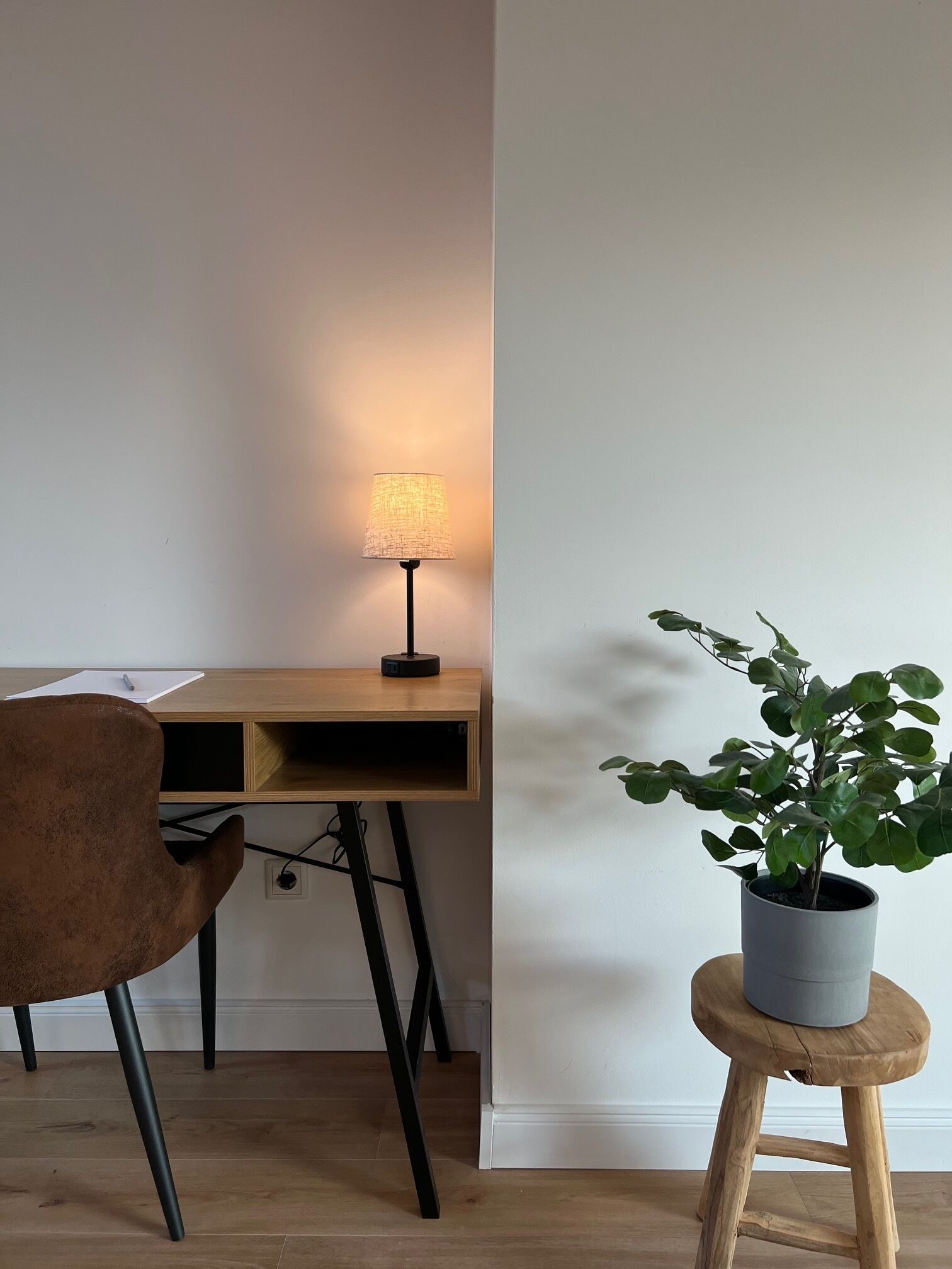 Ein Arbeitsplatz mit Schreibtisch, Stuhl, Lampe und Topfpflanze.