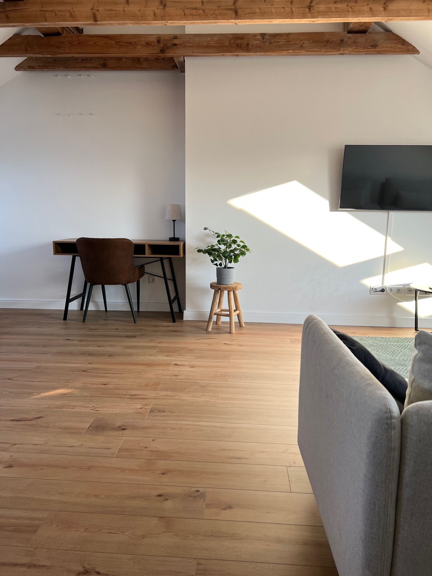 A modern living room with a wooden floor, a desk, a chair, a potted plant, and a television mounted on the wall.