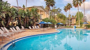Ein Swimmingpool mit Liegestühlen und Sonnenschirmen, umgeben von Palmen und einem Gebäude.